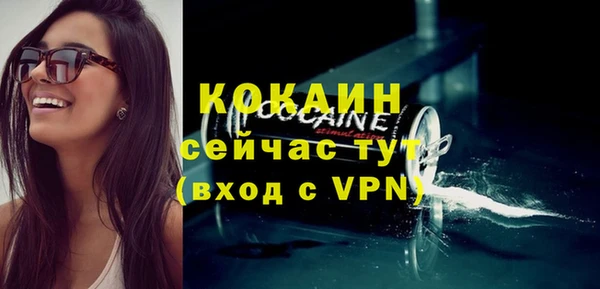 PSILOCYBIN Белокуриха